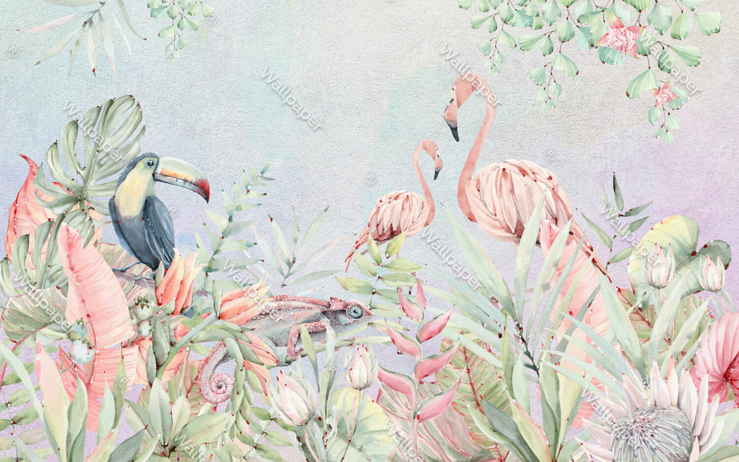 Pembe Pelikan ve Bukalemun Duvar Kağıdı