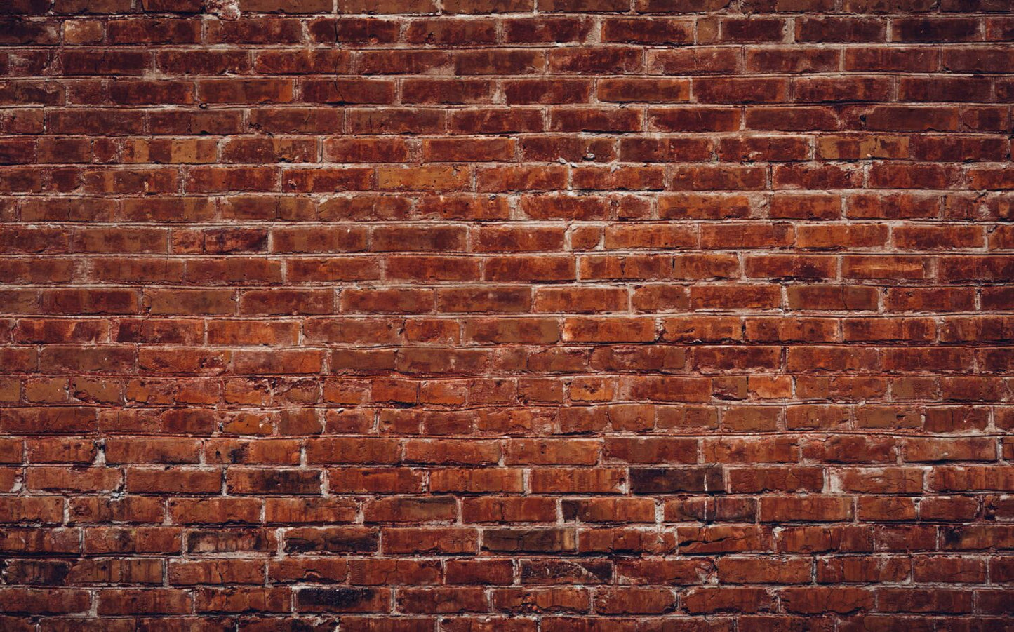 Tuğla Örme Duvar Duvar Kağıdı