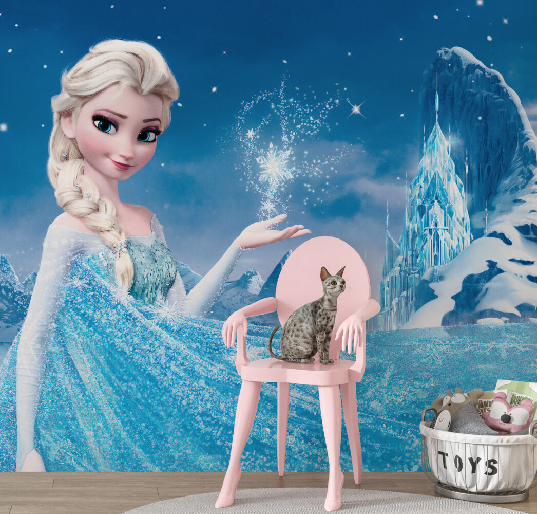 Karlar Kraliçesi Elsa Duvar Kağıdı