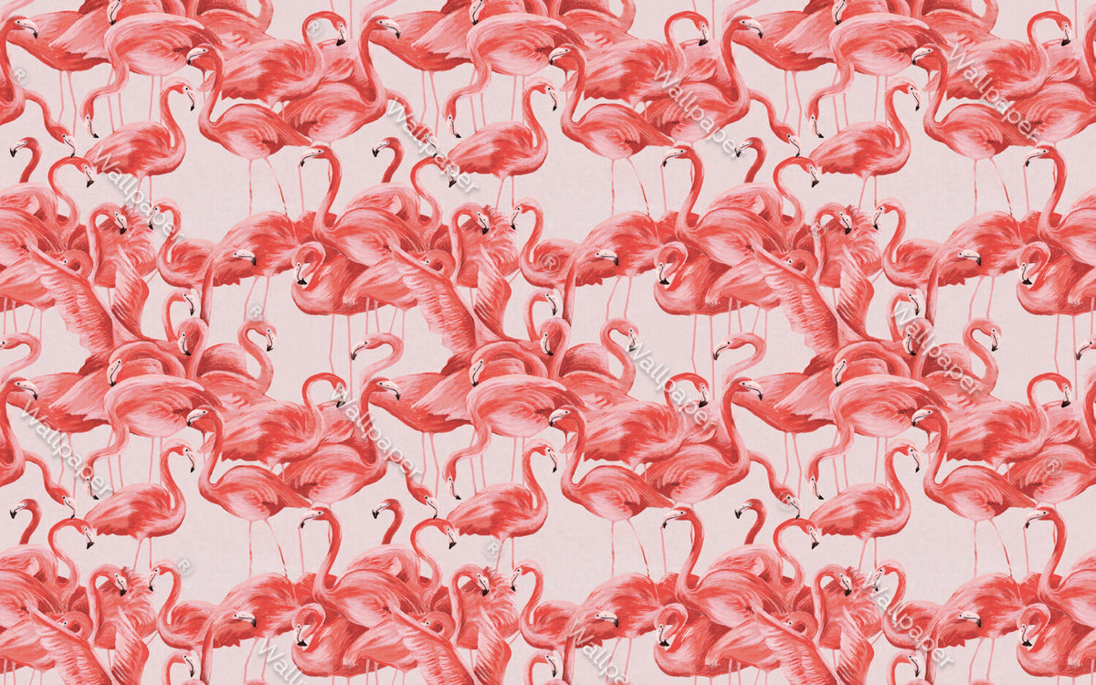 Pembe Flamingolar Duvar Kağıdı Poster