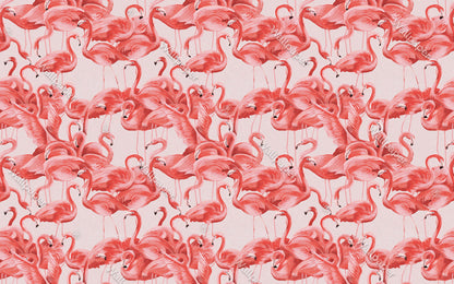 Pembe Flamingolar Duvar Kağıdı