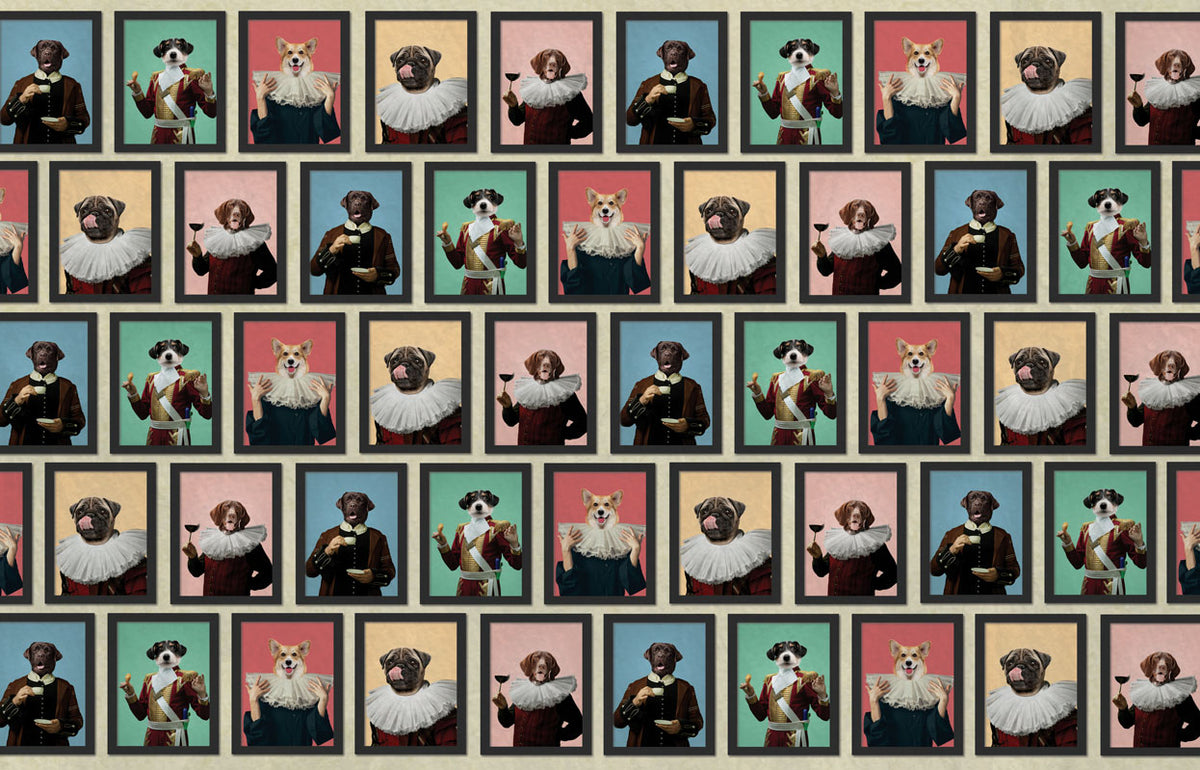 Renkli Köpek Tabloları Duvar Kağıdı Poster