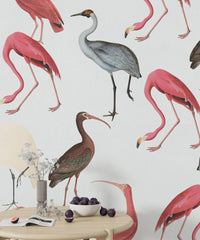 Flamingolar Soft Tonlar'da Duvar Kağıdı Poster