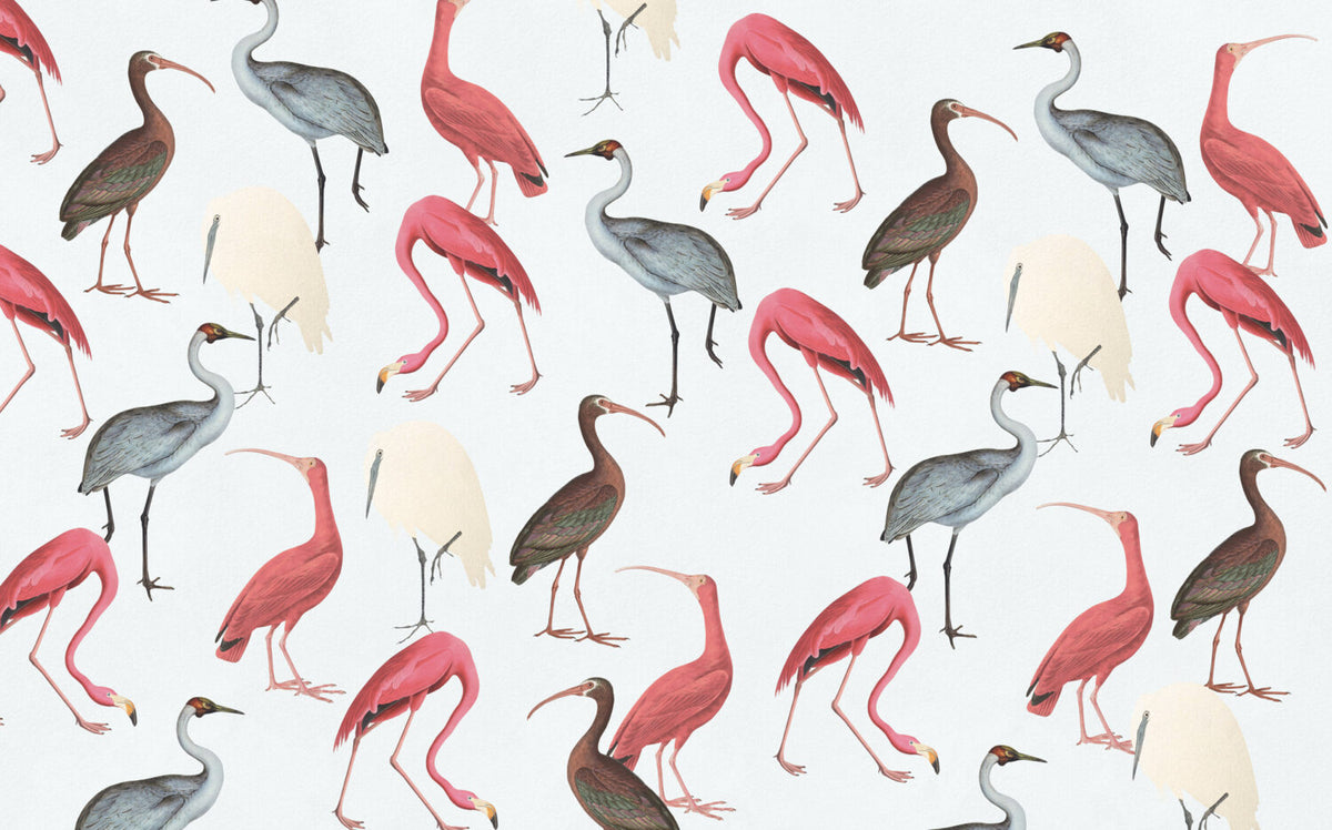 Flamingolar Soft Tonlar'da Duvar Kağıdı Poster
