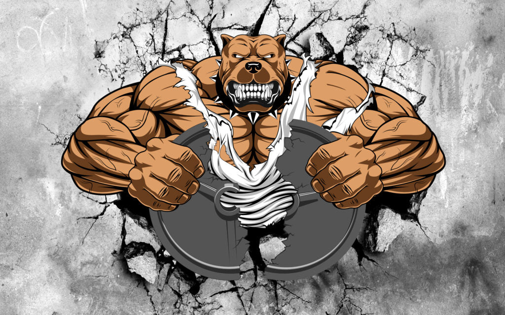 İçin Köpek Desenli 3D Spor Salonları Duvar Kağıdı Poster